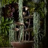 Rustic Metal Lotus Leaf Fountain 19.5"H - 2 of 4