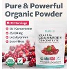 USDA Organic Cranberry Concentrate, Pure Cranberry Juice Concentrate for Urinary Tract, Joint & Kidney Health Support, Pure Co, 100 or 200 servings - 2 of 4