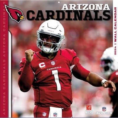 Arizona Cardinals getting new uniforms per report - Revenge of the Birds