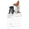 Trends International 2026 Buddies Bilingual French 12"x12" Wall Calendar - 2 of 4