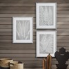 Plum & Post Fern Frond Prints, Set Of 3 - 3 of 4