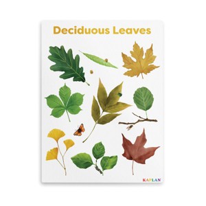 Kaplan Early Learning Deciduous Leaves Giclee  18" x 24" Wall Print - 1 of 4