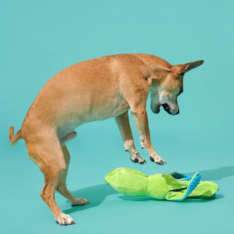 BARK Billy The Squid Dog Toy - Green, 5 of 15