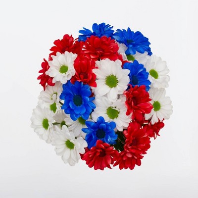 Patriotic Daisy Pom Bouquet - Good Little Garden™
