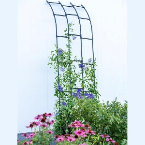 Gardener's Supply Company | Titan Half Arch | Decorative Garden Arch for Backyard, Patio, Courtyard | Durable Weatherproof Steel Support for Climbing - 1 of 4