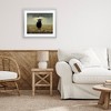 Stupell Industries Black Sheep in Field Framed Print Under Glass Art - 3 of 4