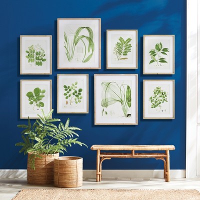 Natural Wood Framed Green Tree Leaf Study Prints, Set of 6