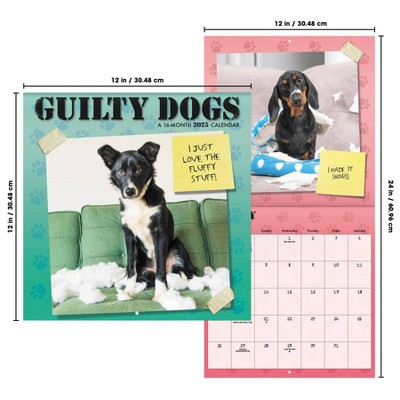 Trends International 2025 Guilty Dog Wall Calendar: Monthly Planner, 12x12 Inches, Multicolored, Saddle Stitch Binding
