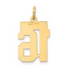 Black Bow Jewelry 14k Yellow Gold, Jersey Collection, Small Number 16 Pendant - 3 of 4