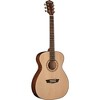 Washburn AF5K-A F5 Apprentice Series Folk Acoustic Guitar - 3 of 3