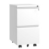 NicBex Mobile File Cabinet with Lock, Vertical Metal Filing Cabinets with 2 Drawers and Wheels,Office Cabinet for Home, Office,White/Black - 2 of 4