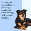 Wisdom Panel Essential Dog DNA Kit: Most Accurate Test for 365+ Breeds, 30 Genetic Health Conditions, 50+ Traits, Relatives, Ancestry - 1 Pack - 4 of 4