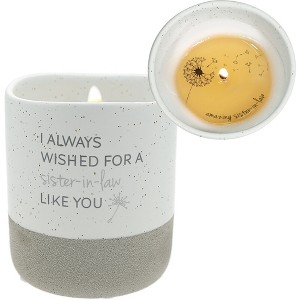 Pavilion Gift Company - Sister-In-Law Like You - 10 oz - 100% Soy Wax Reveal Candle Scent: Tranquility - Flame Candles - 1 of 4
