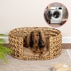 THE LICKER STORE Gigi Modern Bohemian Handwoven Hyacinth Open-Weave Oval Pet Bed with Machine-Washable Cushion - 2 of 4