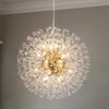 Rennnsan Veldena 23"W 16-Light Sputnik Dandelion Crystal Modern Glam Dimmable Chandelier in Gold - 4 of 4