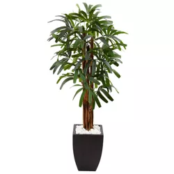 5.5ft Artificial Raphis Palm Tree in Black Planter - Nearly Natural