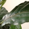 Artificial Tree - Faux 36" Potted Ficus Lyrata Tree - FXP1009 - Multicolored - Safvieh - 4 of 4