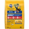 Pedigree Grilled Steak and Vegetable Flavor Adult Dry Dog Food - 18lbs - 2 of 4