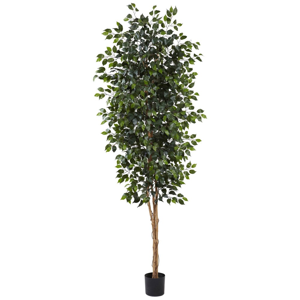 Photos - Garden & Outdoor Decoration 96" Artificial Ficus Tree in Pot Black - Nearly Natural: Indoor, Unlit, No Assembly Required