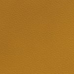 new england patriots