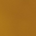 new england patriots