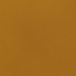 new england patriots