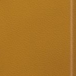 new england patriots