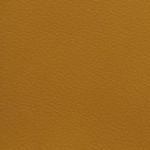 new england patriots