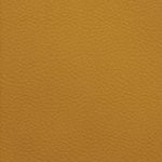 new england patriots