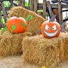 Decorae Shark & Dinosaur Theme Pumpkin Decorating Set; 13 Metal Accessories for Halloween Fall Pumpkin Face Decorating - 2 of 4