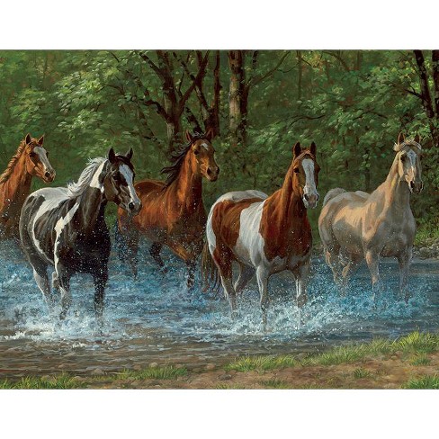 Springbok Summer Creek Jigsaw Puzzle 500pc - image 1 of 3