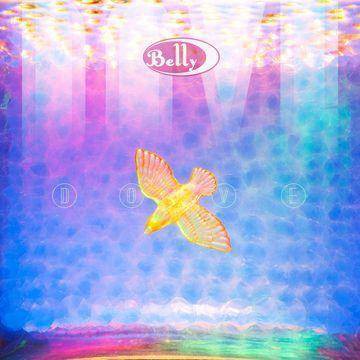 Belly - Dove (Vinyl)