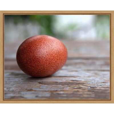 Amanti Art Egg on Wood by Tania Soderman Framed Canvas Wall Art