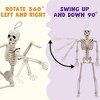 Joyfy 1/2/5/10 PCS 16" Posable Skeleton Halloween Decorative Props for Indoor/Outdoor Halloween Decorations Graveyard Haunted House Spooky Scene Party - 3 of 4