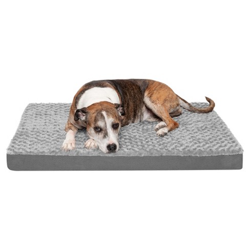 Large plush dog clearance bed