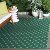 Terrace TER806 Power Loomed UV Resistant Stain Resistant Non-Shedding Indoor/Outdoor Rugs - Safavieh - 2 of 4