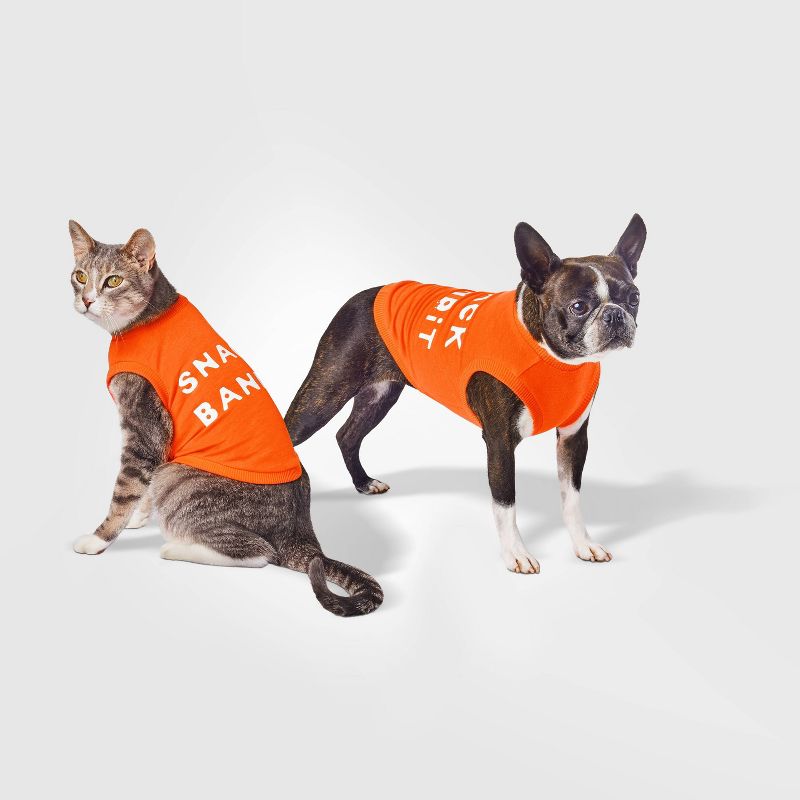 Graphic Snack Bandit Dog and Cat Jersey - Boots & Barkley™ Orange, 1 of 5