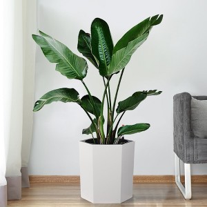 16 Inch Tall Planters Set of 2, Hexagonal Self Watering Pots with Water Level Monitor, Bottom Wheels and Drainage Hole - 1 of 4