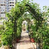 Dolonm Metal Garden Arch with Gate Climbing Plants Support Rose Arch Outdoor Black - 3 of 4