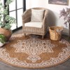 Beach House BHS292 UV & Stain Resistant Non-Shedding Power Loomed Indoor/Outdoor Rugs - Safavieh - 3 of 4