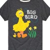 Boys' - Sesame Street - Big Bird Daffodils Short Sleeve Graphic T-Shirt - 2 of 4