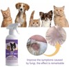 Paaaawaters Pet Skin Relief Spray - Relieves Itching and Flea Infestation for Dogs and Cats, Cleans and Nourishes the Skin - 4 of 4