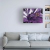 Trademark Fine Art -Barbara Keith 'Amethyst' Canvas Art - 2 of 4