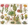 New York Puzzle Company Cacti ~ Cactus 1000 Piece Puzzle - image 3 of 4