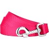 Country Brook Petz 6ft By 1 Inch Heavyduty Doublehandle Nylon Leash - 3 of 4