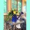 Tierra Garden 1.2 Gallon Traditional Metal Watering Can - 2 of 4