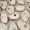 Shell Handmade Abstract Wall Decor with Beige Linen Backing and Black Frame Cream - Olivia & May - 3 of 4