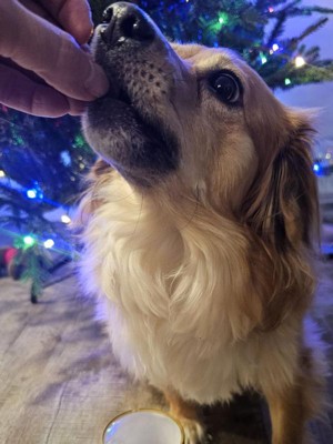 Guest review image 1 of 1, zoom in