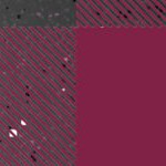 arizona state sun devils