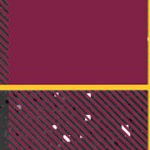 arizona state sun devils